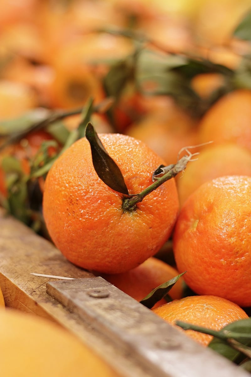 Savory-Citrus Infusions